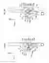 Fig. 06 - Seat back device