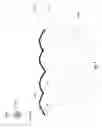Fig. 09 - Orthogonal eddy current probe for multi-directional inspection