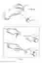 Fig. 07 - MOTION CAPTURE DATA GLOVE