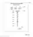 Fig. 07 - User interface for and method of implementing a user interface in a configurable light timer