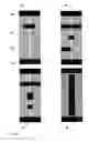 Fig. 16 - Multilevel and space-filling ground-planes for miniature and multiband antennas