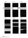 Fig. 19 - Multilevel and space-filling ground-planes for miniature and multiband antennas