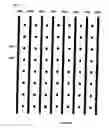 Fig. 40 - Tunable frequency selective surface