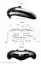 Fig. 11 - Center device