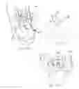 Fig. 04 - PEN-TYPE MOUSE