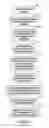 Fig. 03 - Knowledge-based automatic image segmentation