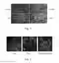 Fig. 02 - TARGETING PULMONARY EPITHELIUM USING ADRP