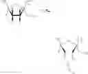 Fig. 44 - Oxime conjugates and methods for their formation and use