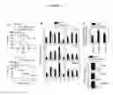 Fig. 09 - USES OF MESENCHYMAL STEM CELLS