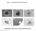 Fig. 02 - HEMANGIO-COLONY FORMING CELLS
