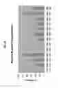 Fig. 09 - Compositions to effect neuronal growth