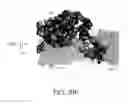 Fig. 131 - ANTIGEN BINDING PROTEINS TO PROPROTEIN CONVERTASE SUBTILISIN KEXIN TYPE 9 (PCSK9)