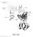 Fig. 136 - ANTIGEN BINDING PROTEINS TO PROPROTEIN CONVERTASE SUBTILISIN KEXIN TYPE 9 (PCSK9)