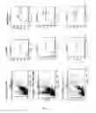 Fig. 08 - Cell and therapeutical and diagnostical methods based thereon
