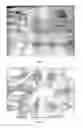 Fig. 02 - Method of manufacture of a composite concrete article