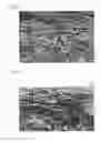 Fig. 02 - Artificial leather, entangled web of filaments, and process for producing these