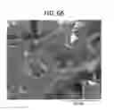 Fig. 07 - CELLULAR STRUCTURES AND VISCOELASTIC POLYURETHANE FOAMS