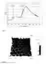Fig. 03 - Highly ordered arrays of nanoholes in metallic films and methods for producing the same