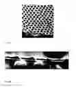 Fig. 04 - Highly ordered arrays of nanoholes in metallic films and methods for producing the same