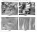 Fig. 01 - Assemblies containing polyetherketoneketone tie layers