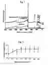 Fig. 02 - BASE MATERIAL FOR ADHESION AND SILICONE RUBBER-ADHERED ARTICLE USING THEREOF