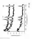 Fig. 06 - Graphene growth on a non-hexagonal lattice