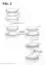 Fig. 03 - Ceramic-metal bonded body and method of producing the same