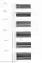 Fig. 02 - MULTILAYER BACKSHEET FOR PHOTOVOLTAIC MODULES, AND ITS PRODUCTION AND USE IN THE PRODUCTION OF PHOTOVOLTAIC MODULES