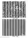 Fig. 10 - PROCESS FOR ELECTROPLATING OF COPPER