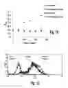 Fig. 10 - Systems and method for bio-electricity production
