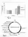 Fig. 12 - Systems and method for bio-electricity production