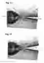 Fig. 08 - Continuous diorama and method of making the same