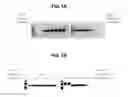 Fig. 02 - COMPOSITIONS FOR IMPROVING GENE AMPLIFICATION