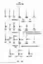 Fig. 02 - Particle Analysis Assay for Biomolecular Quantification
