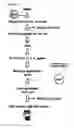 Fig. 02 - AGENT FOR SUPPRESSING REPLICATION OF HIV AND USE THEREOF
