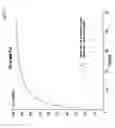 Fig. 08 - MULTIPLE RNA POLYMERASE III PROMOTER EXPRESSION CONSTRUCTS