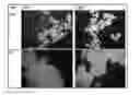 Fig. 01 - Microcarriers for Stem Cell Culture