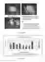 Fig. 129 - Microcarriers for Stem Cell Culture