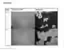 Fig. 14 - Microcarriers for Stem Cell Culture