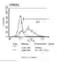 Fig. 145 - Microcarriers for Stem Cell Culture