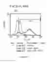 Fig. 151 - Microcarriers for Stem Cell Culture