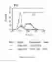 Fig. 155 - Microcarriers for Stem Cell Culture