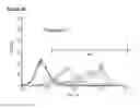 Fig. 17 - Microcarriers for Stem Cell Culture