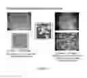 Fig. 176 - Microcarriers for Stem Cell Culture