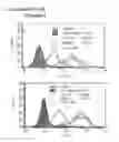Fig. 19 - Microcarriers for Stem Cell Culture