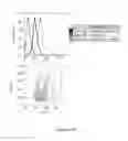 Fig. 255 - Microcarriers for Stem Cell Culture