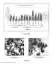 Fig. 263 - Microcarriers for Stem Cell Culture