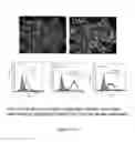 Fig. 286 - Microcarriers for Stem Cell Culture