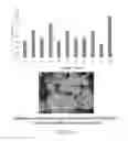 Fig. 290 - Microcarriers for Stem Cell Culture