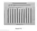 Fig. 293 - Microcarriers for Stem Cell Culture